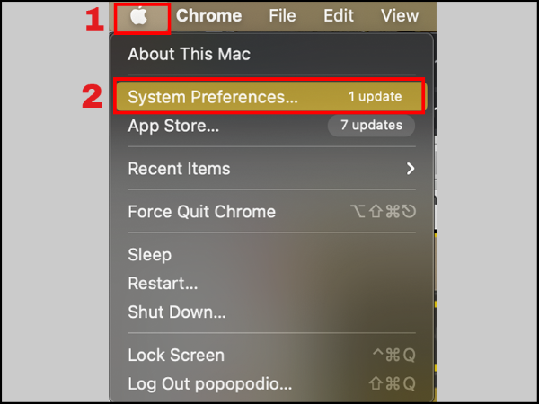 Nhấn vào Tùy chọn hệ thống (System Preferences)