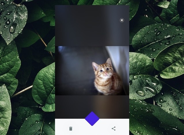 Mở 1 ảnh trong Safe Pixel bạn sẽ có 3 lựa chọn gồm: xóa ảnh, gửi ảnh cho người dùng cùng Safe Pixel hoặc chia sẻ hình ảnh đó.