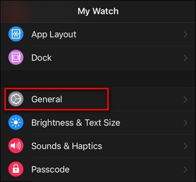tắt chụp ảnh màn hình trên Apple Watch