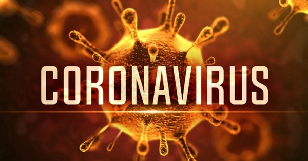Chơi game để tìm hiểu đại dịch, giải đáp Virus Corona nguy hiểm như thế nào?
