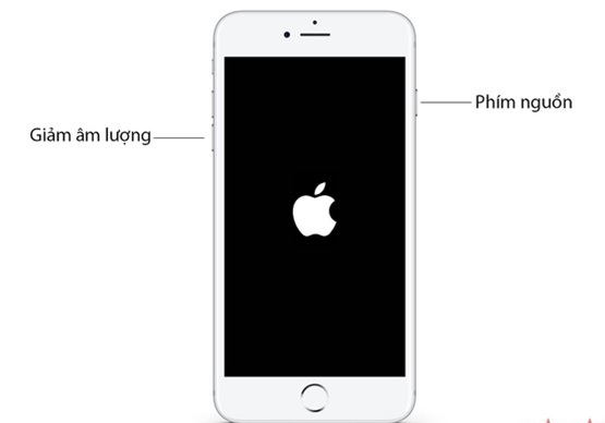 Khởi động lại iPhone cũng là 1 trong những cách giúp người dùng khắc phục lỗi kết nối Wifi