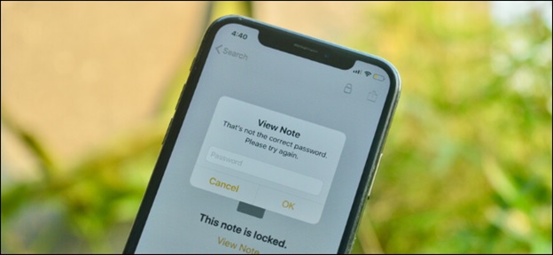 Hướng dẫn reset mật khẩu Apple Notes trên iPhone hoặc iPad đơn giản, dễ thực hiện
