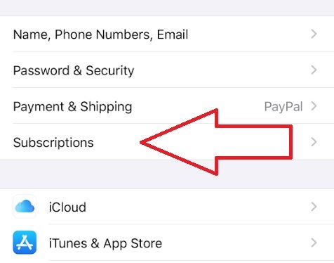 Kiểm tra các dịch vụ hiện có trên iPhone và chi tiết thời hạn thanh toán