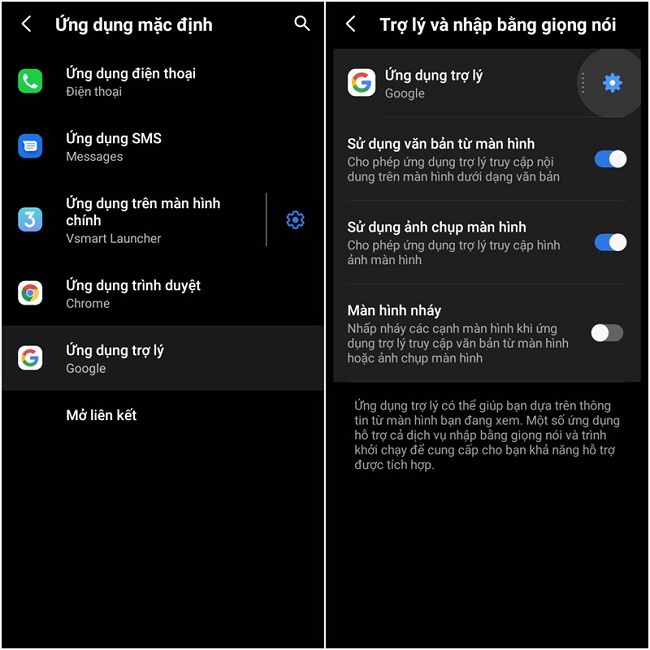 Chọn cài đặt trong mục ứng dụng trợ lý