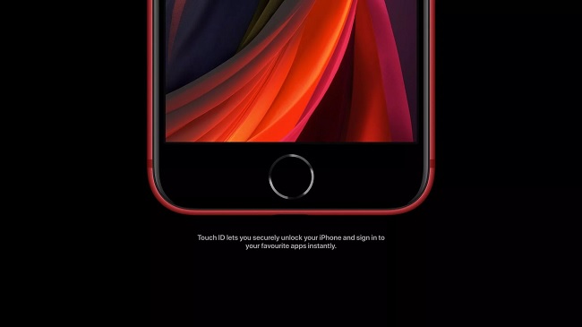 iPhone SE 2020 chỉ được trang bị Touch ID trong khi iPhone 11 sở hữu công nghệ Face ID