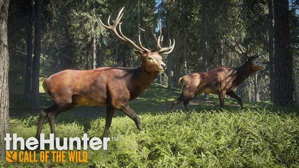 Game The Hunter: Call of the Wild