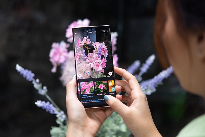 Xác định tên cây cỏ cực dễ và chính xác với mẹo sử dụng Google Lens