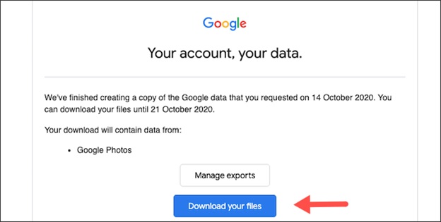 Click vào nút “Download Your Files” để tải dữ liệu xuống