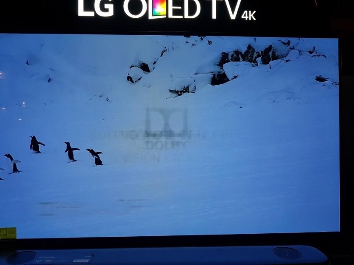 Màn hình TV OLED bị hiện tượng burn-in
