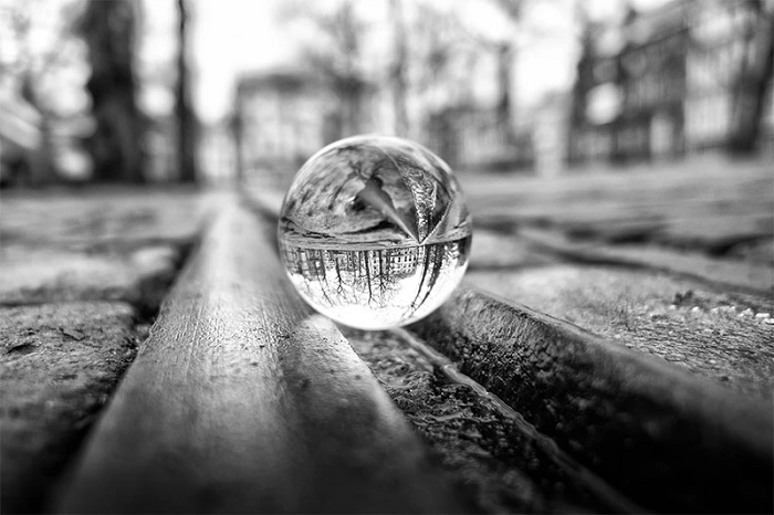 Ảnh được chụp từ camera monochrome của điện thoại