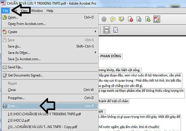 Cắt file PDF bằng Adobe Acrobat DC Pro (2)