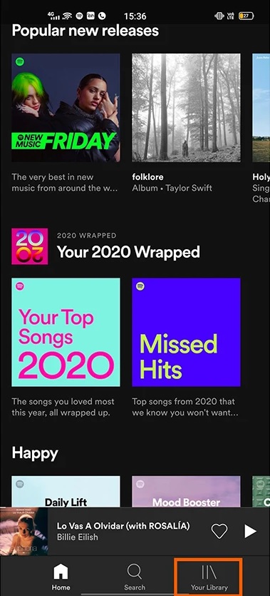 Hướng Dẫn Cách Tải Nhạc Từ Spotify Trên Điện Thoại, Máy Tính Để Phát Ngoại  Tuyến