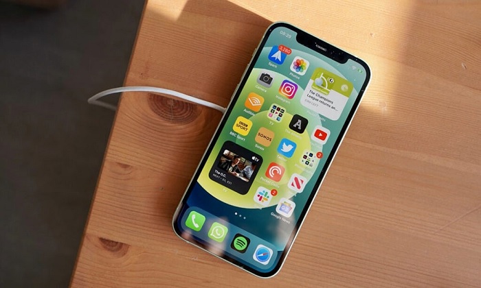 iPhone 12 Pro Max