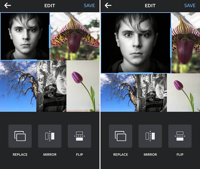 Ứng dụng Layout from Instagram