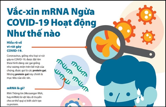 Vaccine mRNA phòng Covid-19 hoạt động như thế nào?