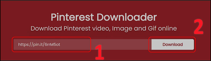 Vào trang web pinterestdownloader.com để download video từ Pinterest về máy tính