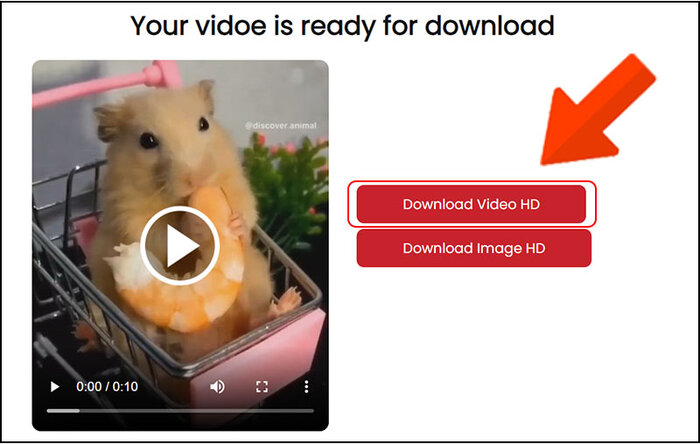 Chọn Download Video HD ở dòng đầu tiên