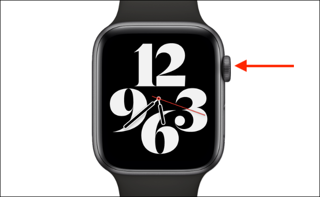 Nhấn giữ nút Digital Crown trên Apple Watch để hiển thị Siri