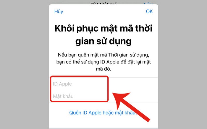 Nhập ID Apple và mật khẩu