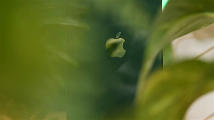 Mặt sườn lưng của iPhone 13 Xanh lá hòa nằm trong màu xanh da trời của lá cây