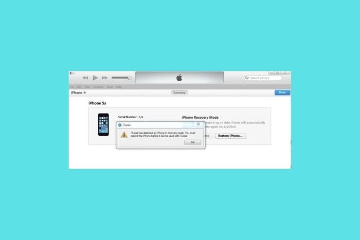 Giữ Home trong vài giây cho đến khi iTunes trên máy tính nhận được điện thoại của bạn