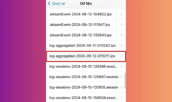 Tìm tệp tin có tên bắt đầu bằng log-aggregated-YYYY-MM-DD-xxxxx.ips
