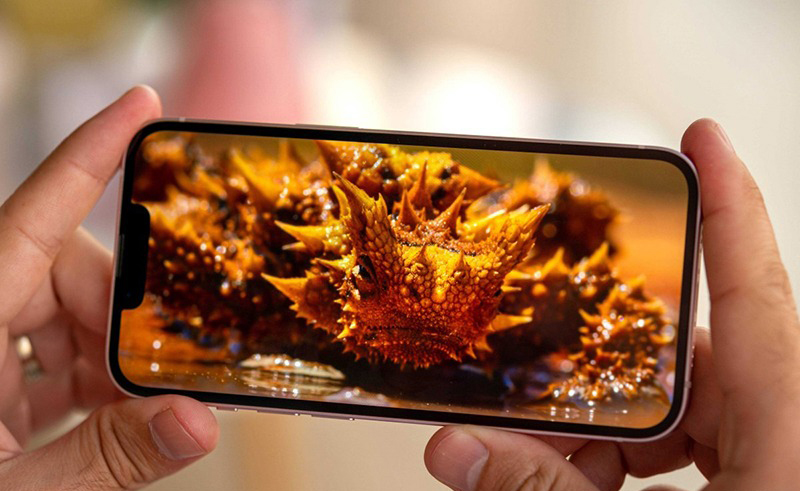 iPhone 14 dùng màn hình OLED do BOE  Trung Quốc sản xuất