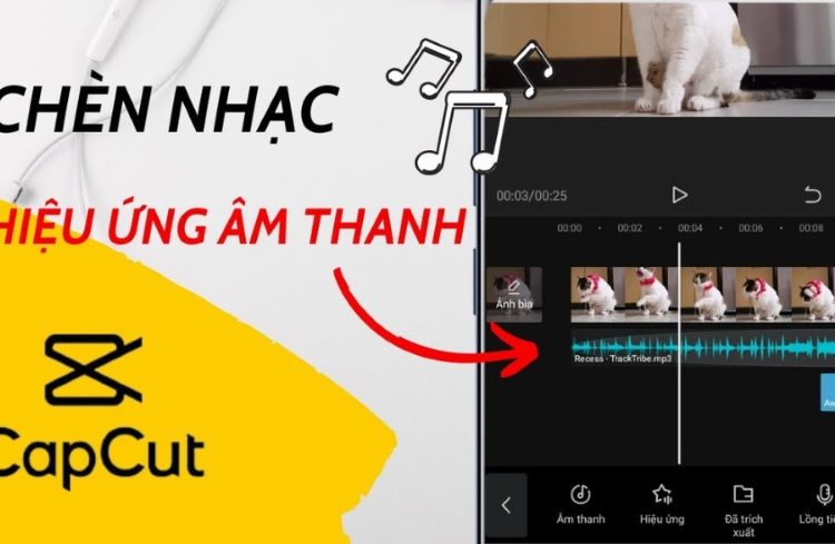 Cách tạo video slideshow với nhạc và ảnh trên điện thoại?
