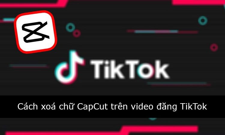 Top 8 mẫu Capcut xu hướng và cách sử dụng mẫu tạo video hay