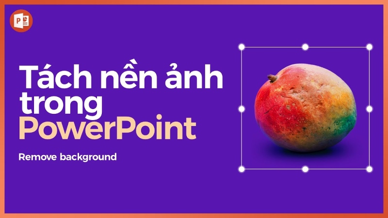 Cách chèn ảnh vào Powerpoint và căn chỉnh ảnh đẹp dễ dàng