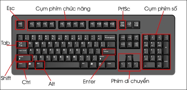 hướng dẫn sử dụng laptop cho người mới bắt đầu