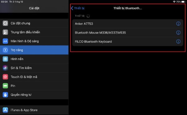 Cách kết nối chuột bluetooth với iPad