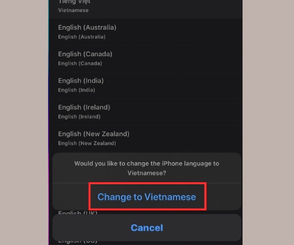 Nhấn chọn Chuyển đổi sang tiếng Việt
