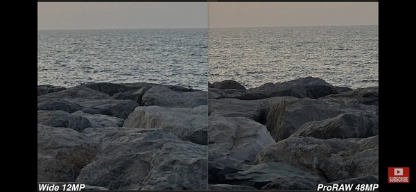 Hình ảnh được chụp trên camera 48MP được tái hiện với những đường nét chân thực hơn so với camera 12MP 