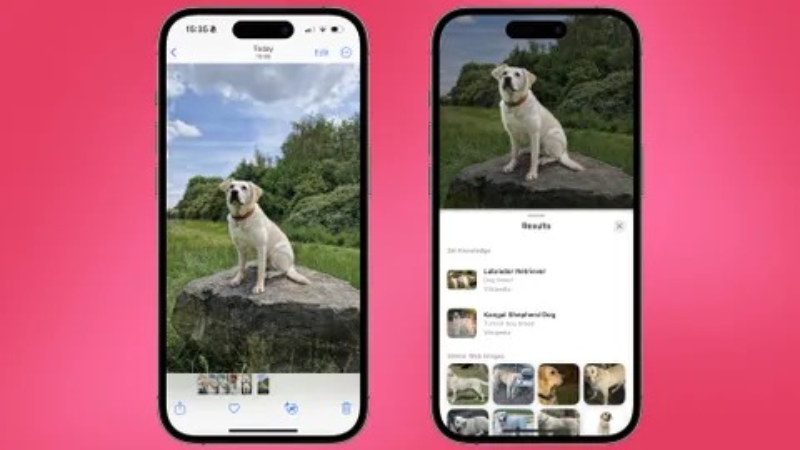 Tính năng Tra cứu trực quan (Visual Look Up) trên iOS 17