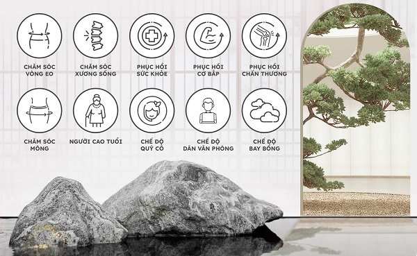 A rock and a tree
Description automatically generated with medium confidence