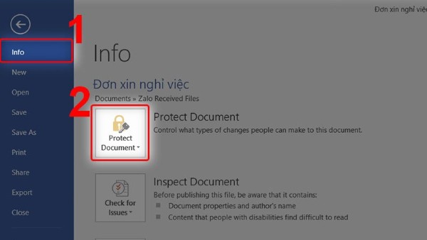 Chọn mục Info và sau đó nhấp vào Check for Issues