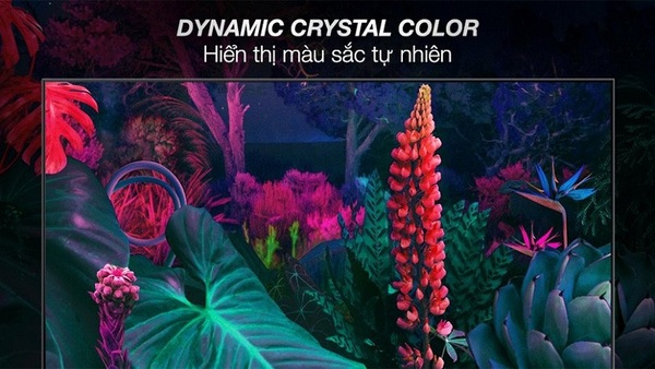 Dynamic Crystal Color (DCC) là một công nghệ hiển thị hình ảnh tiên tiến