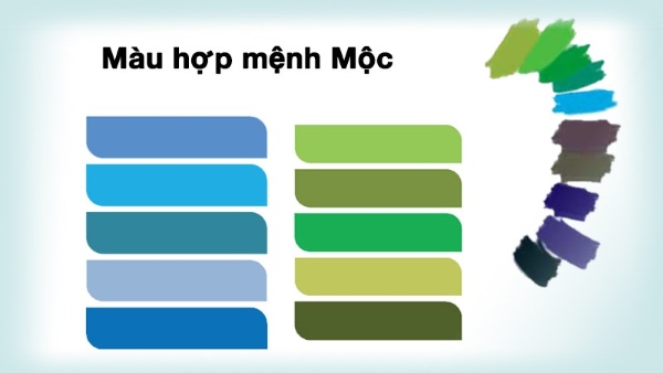 Mệnh Mộc nên chọn những màu sắc phù hợp