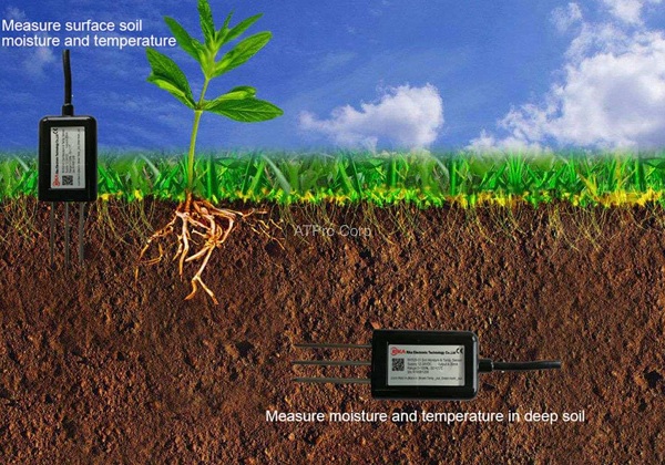 A greenhouse with plants growing in it

Description automatically generated