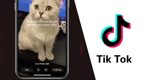 Lưu ý khi lấy video TikTok làm hình nền