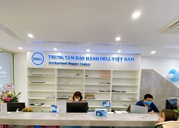 Hướng dẫn check bảo hành laptop Dell đơn giản, nhanh chóng