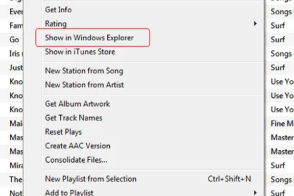 Chọn "Show in Finder" (trên macOS) hoặc "Show in Windows Explorer" (trên Windows)