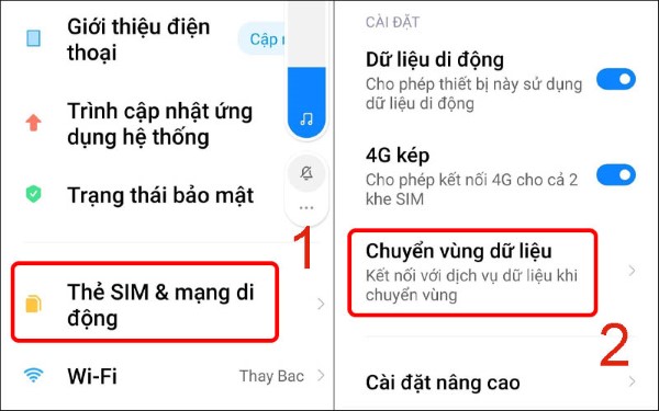 Chọn Thẻ SIM & Mạng di động