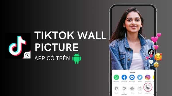 TikTok Wall Picture.