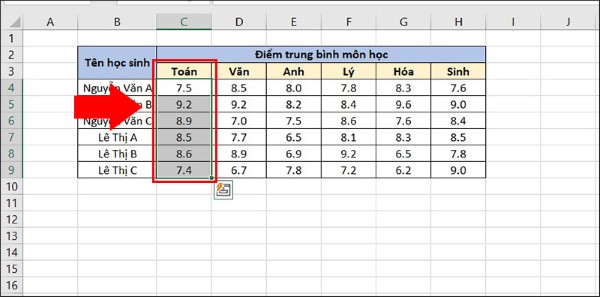 Chọn giá trị trong cột Toán