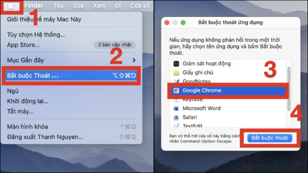 Nhấn Force Quit để buộc dừng ứng dụng