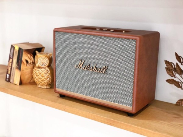 Loa Marshall Woburn 2 không hỗ trợ micro hoặc mixer tích hợp