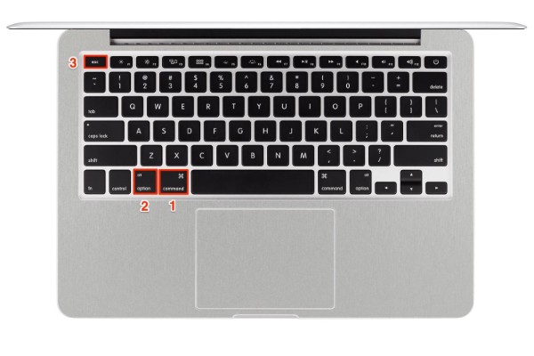 Nhấn tổ hợp Command + Option + Esc để mở cửa sổ "Force Quit Applications"