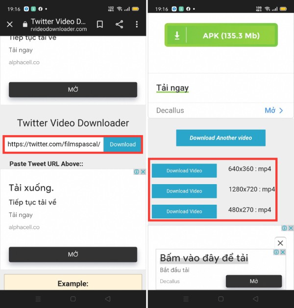 Dán đường link vừa sao chép vào ô nhập trên website